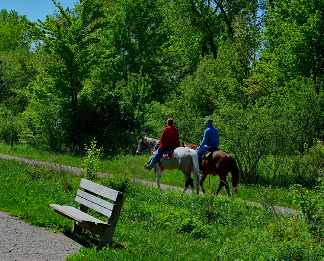 Horseback Riding Bridle Trails in Lake Metroparks Lake Metroparks