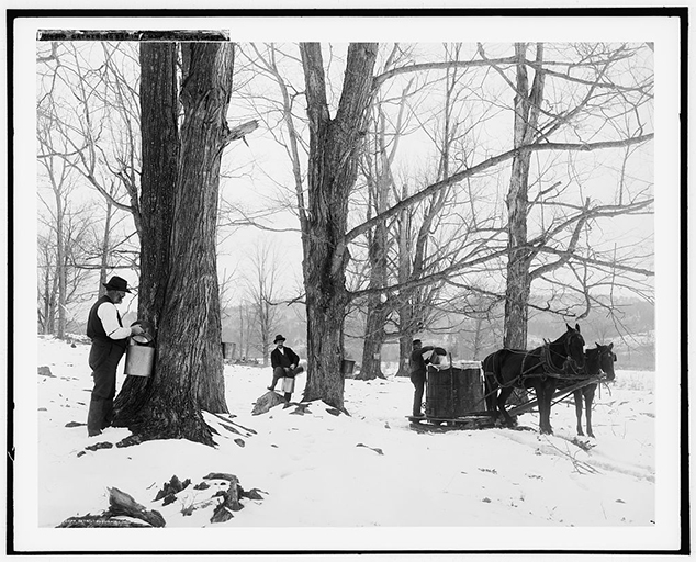 photo by Detroit Publishing Company via U.S. Library of Congress