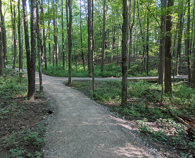 New Trail Improvements at the Environmental Learning Center