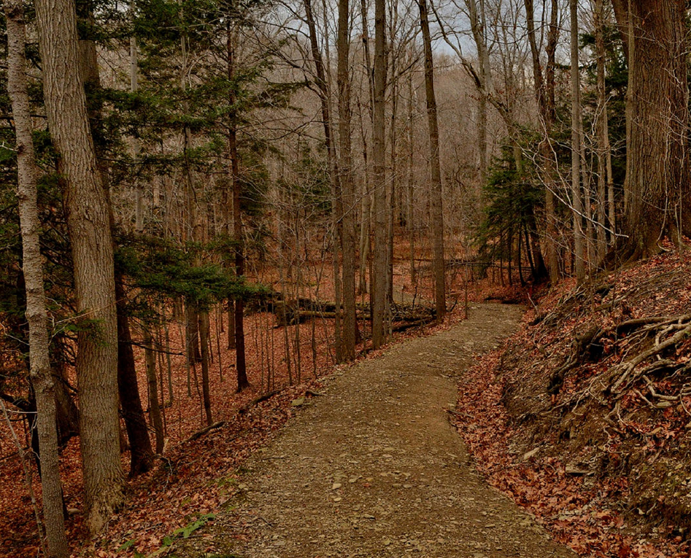 Baker Road Park Hike, Camp and Fish in Leroy Twp. Lake Metroparks