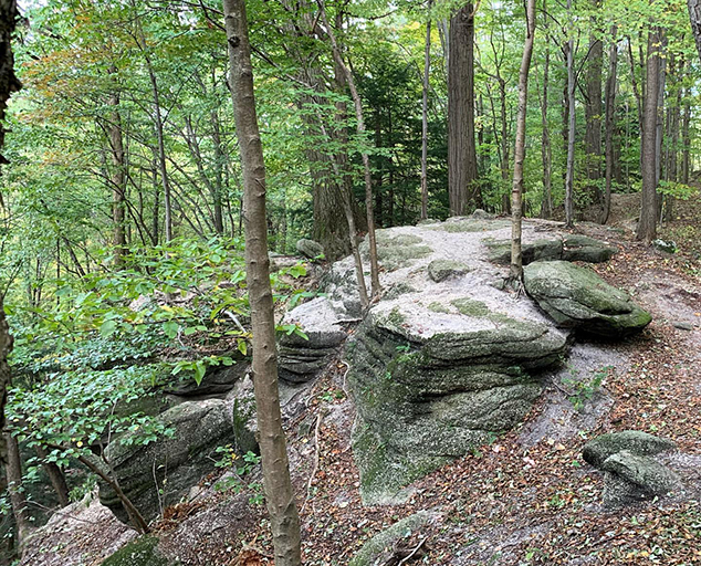 Ledge Rocks at Chapin Forest Reservation