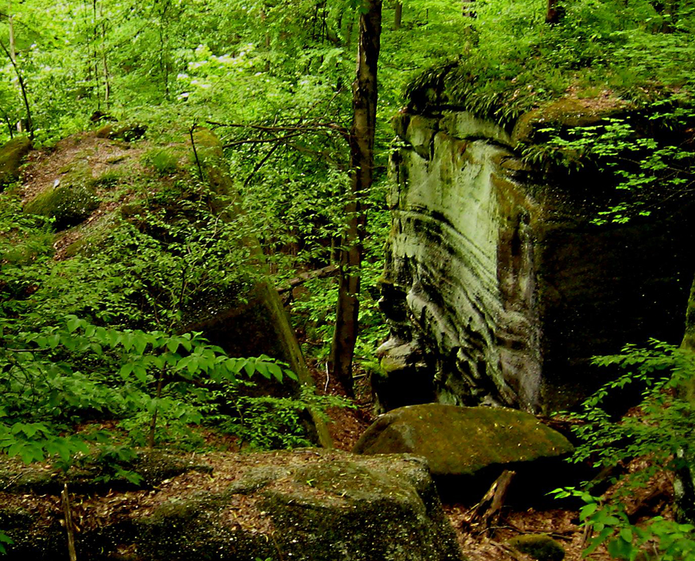 Chapin Forest hike, scenic overlook, fish, crosscountry ski and