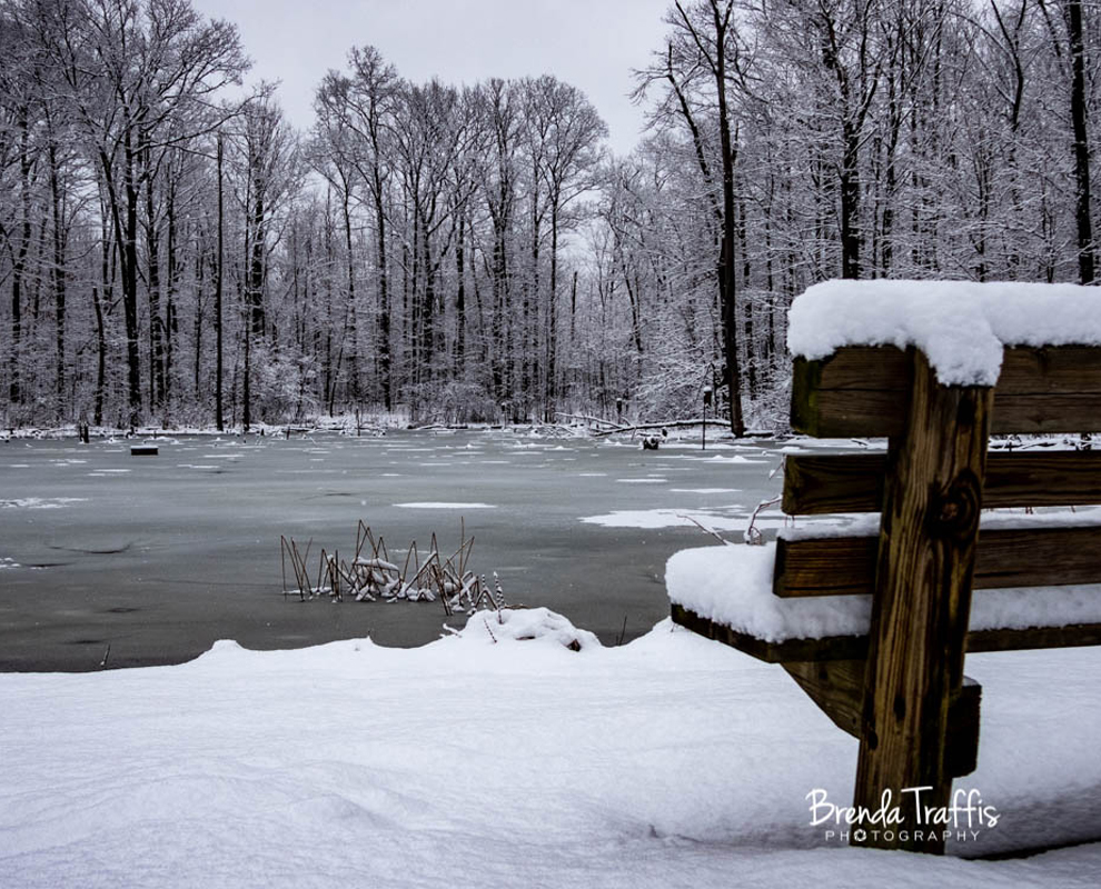 Concord Woods Nature Park - winter - pond - Lake Metroparks - Photo by Brenda Trafis