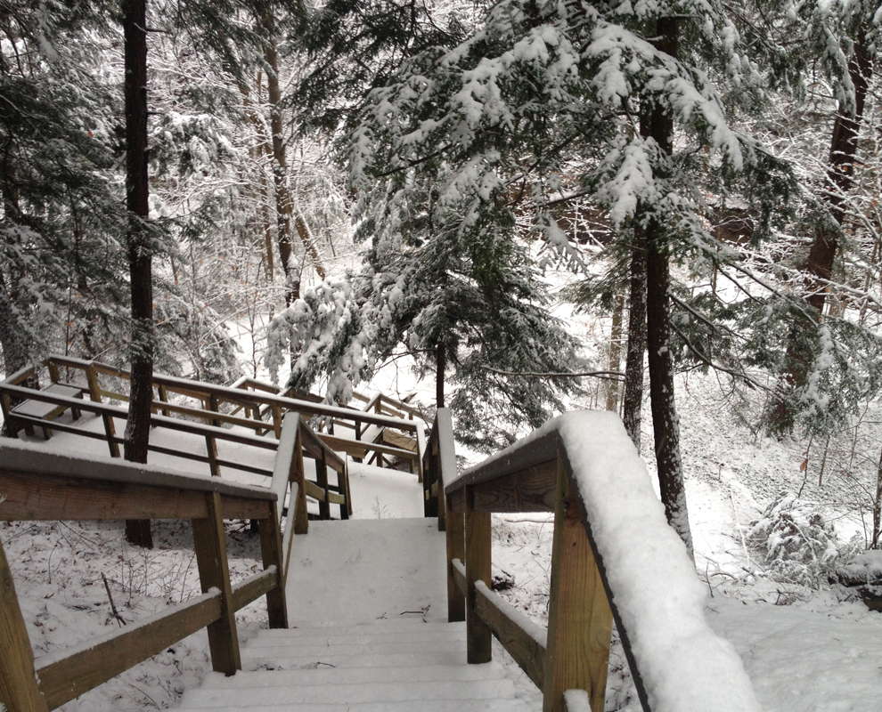 Environmental Learning Center - park - trees - steps - snow - Lake Metroparks