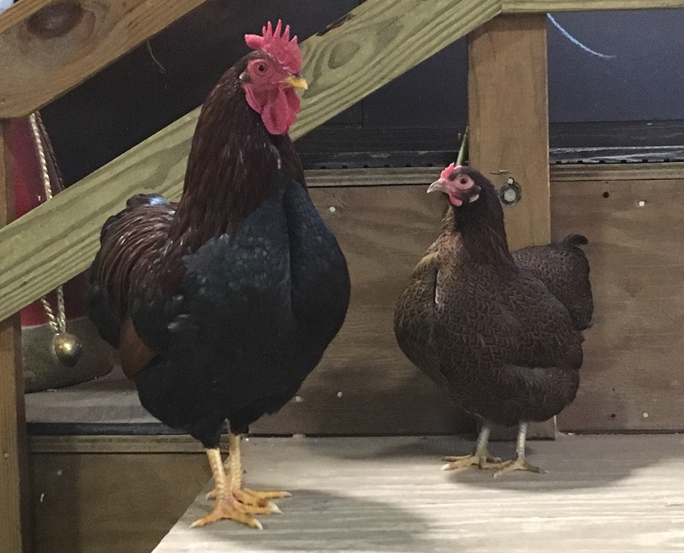 Lake Metroparks Farmpark Family Science and Cultural Farming Center