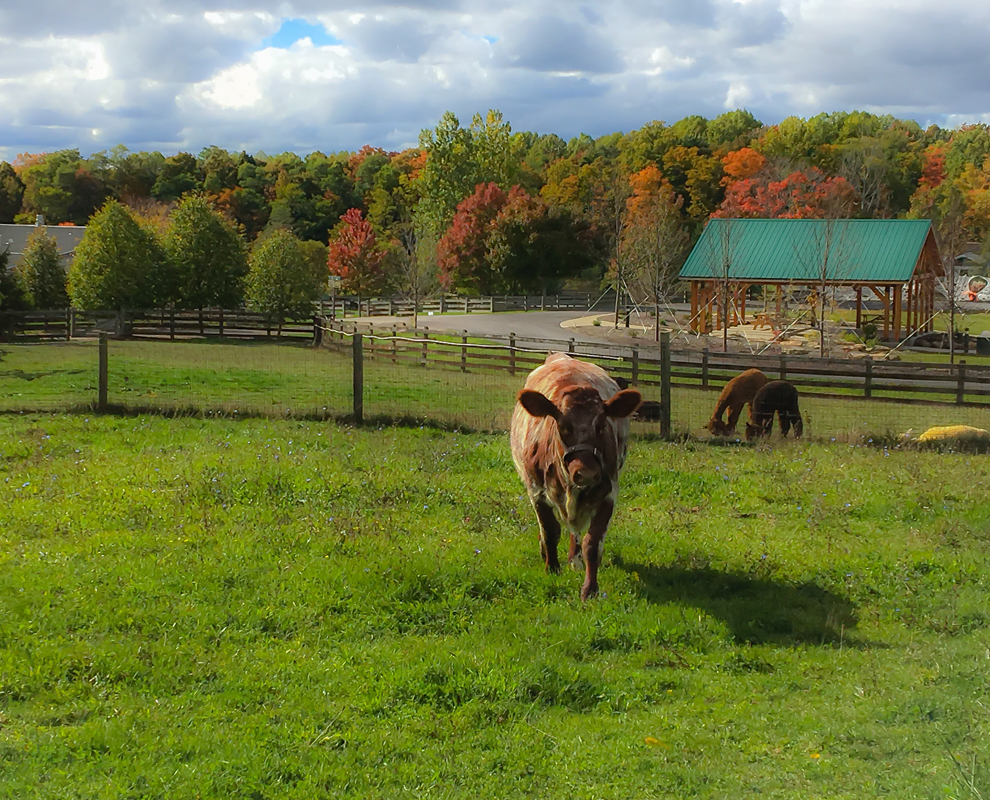 Lake Metroparks Farmpark Family Science and Cultural Farming Center