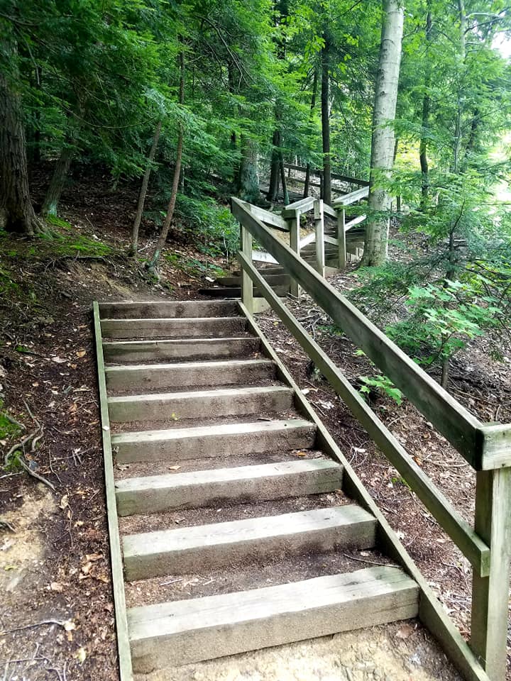 Hell Hollow Wilderness Area - park - steps - trees - Lake Metroparks - photo by Bill Peters