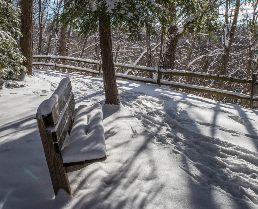 Hell Hollow Wilderness Area - trail - trees - winter ice - Lake Metroparks - Kevin Vail