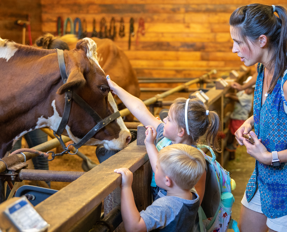 Farmpark - dairy cow - kids petting - photo by Al Susinskas