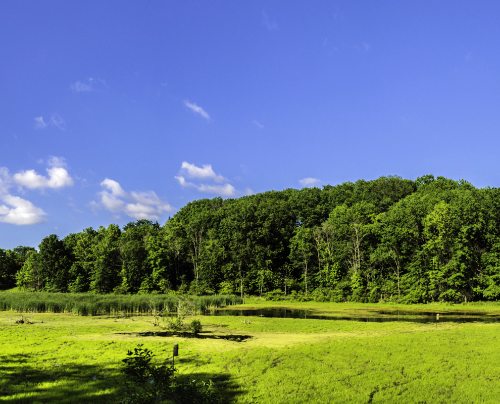 Pete's Pond Preserve on Rockefeller Road in Wickliffe, Ohio Lake