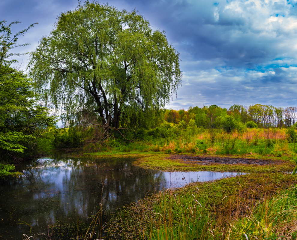 River Road Park Camp, Fish and Hike in Madison, Ohio. Lake Metroparks