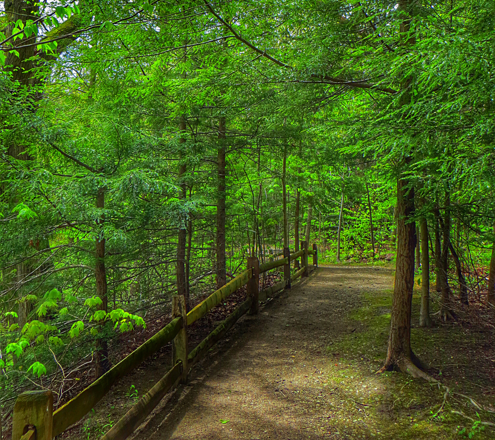 Riverview Park - trail - trees- Lake Metroparks - Kevin Vail