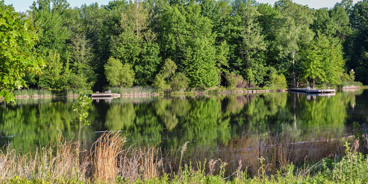 Escape to the Emerald Coast: Your Guide to Ohio's Lake Metroparks
