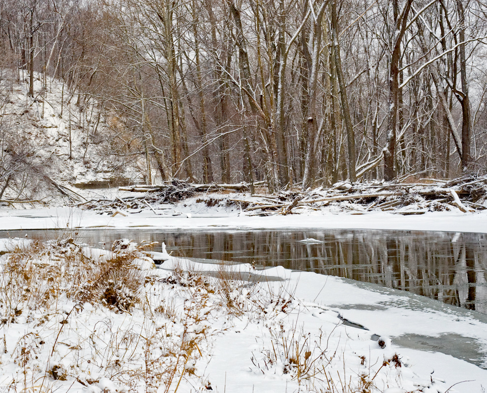 photo by Colin Hoffman