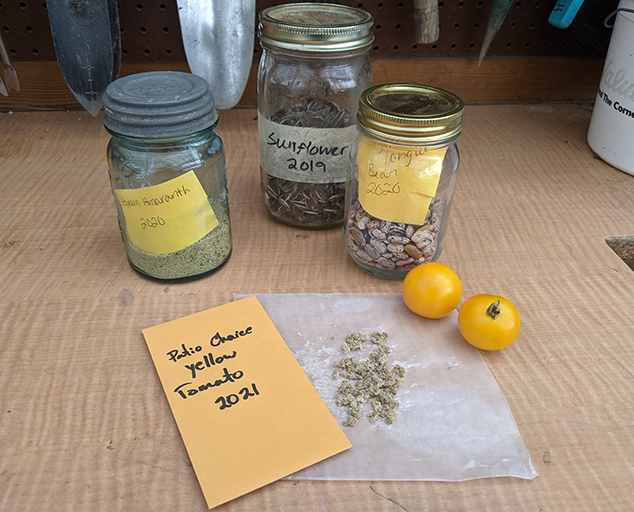 How to Store Seeds - SeedSavers