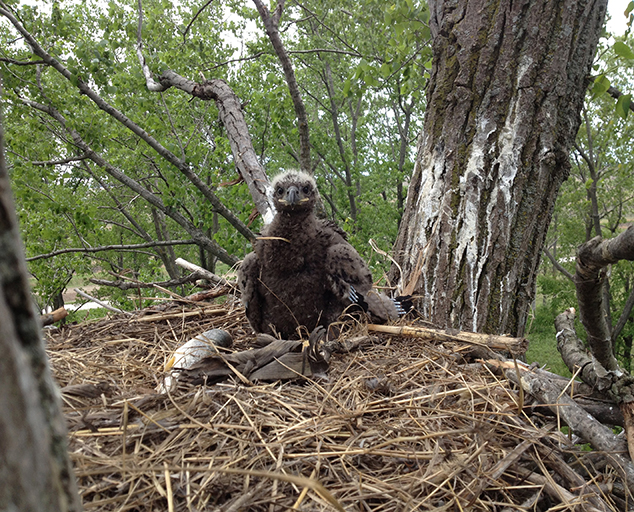 photo by Jeremy N. Moore, USFWS