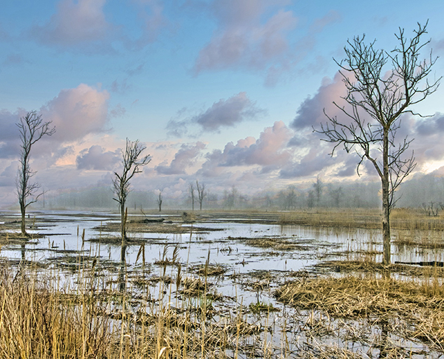 photo by Roger Lokar