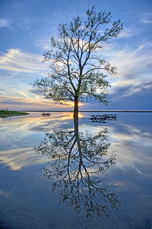 photo by Roger Lokar