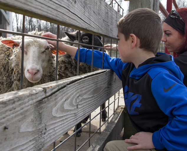 Bridget Gandee Photography