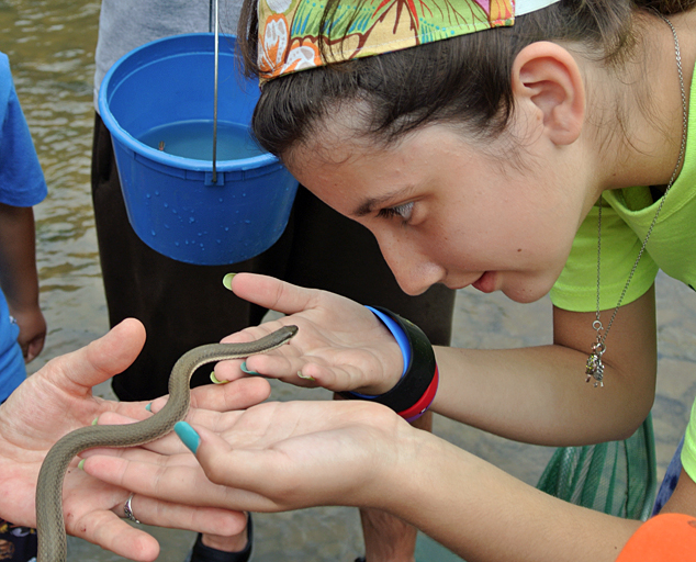 River Jamboree, Grand River, Hidden Valley Park, Snakes and Turtles