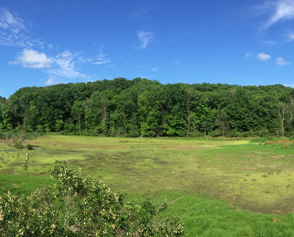 Arcola Creek Park Lake Metroparks
