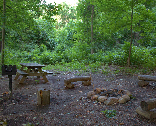 Baker Road Park - trees - trail - Lake Metroparks - photo by Kevin Vail