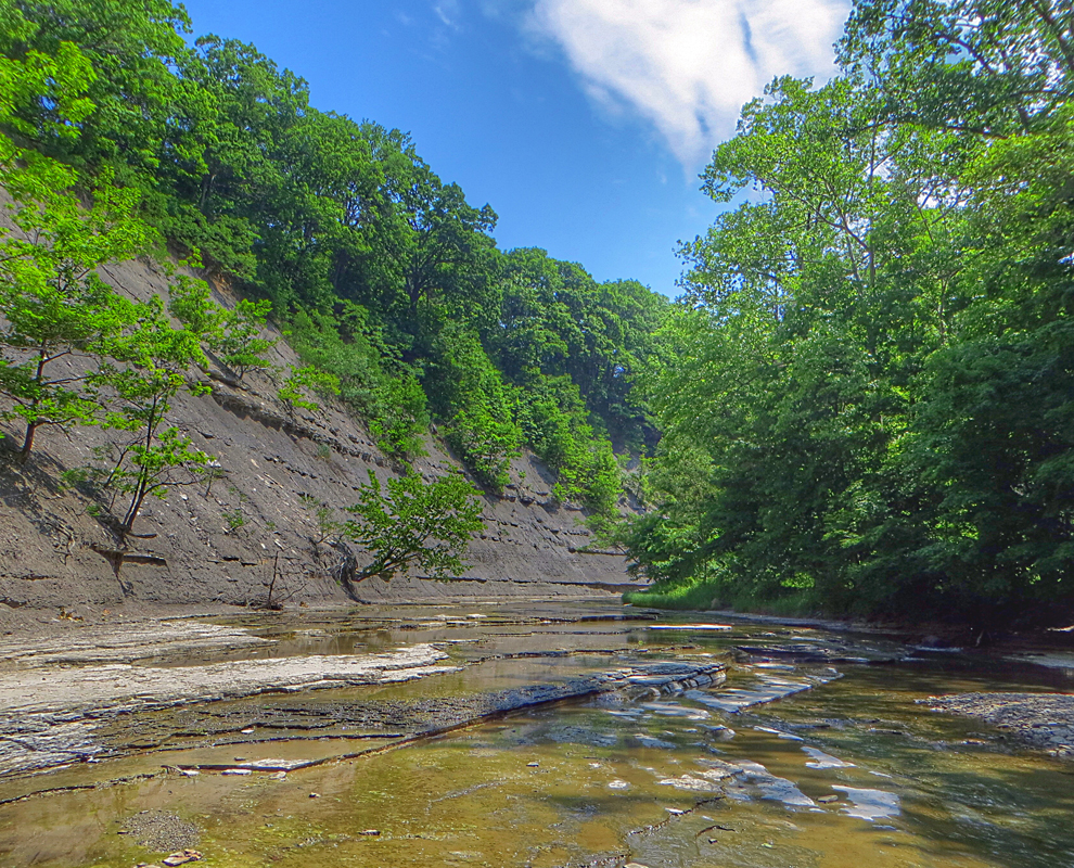 Big Creek at Liberty Hollow - park - creek - trees - valley - Lake Metroparks - photo by Kevin Vail