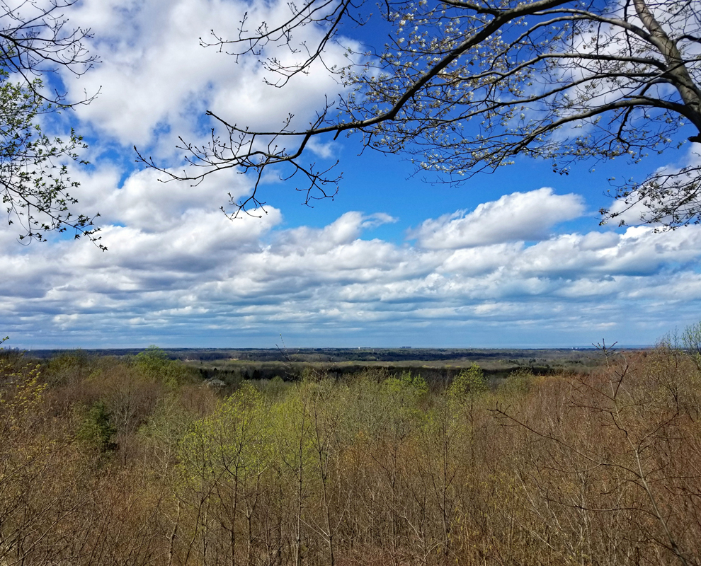 Chapin Forest Reservation