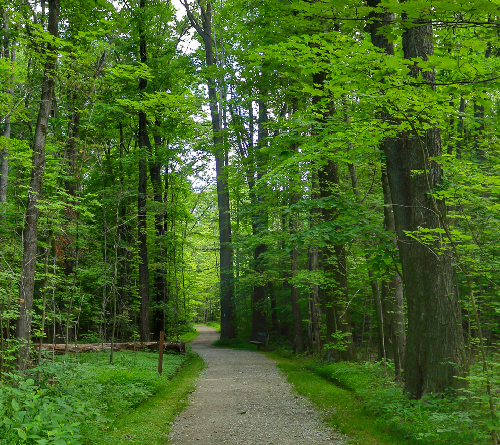 Chapin Forest hike, scenic overlook, fish, crosscountry ski and