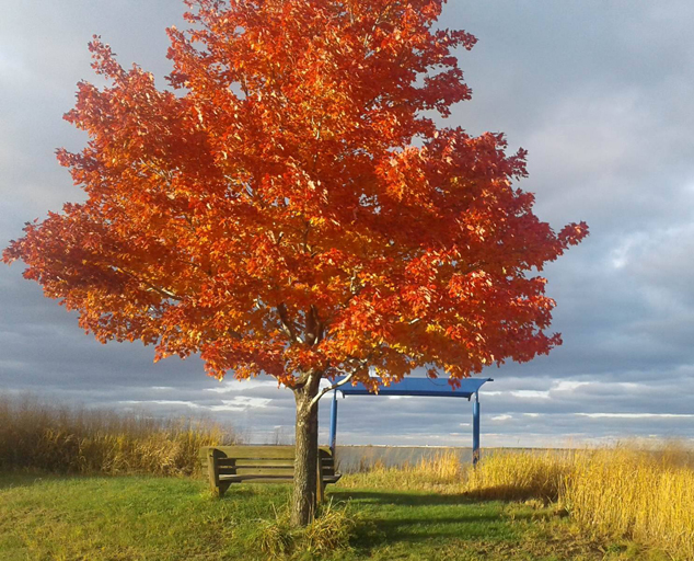 Fairport Harbor Lakefront Park Lake Metroparks Beach Rules