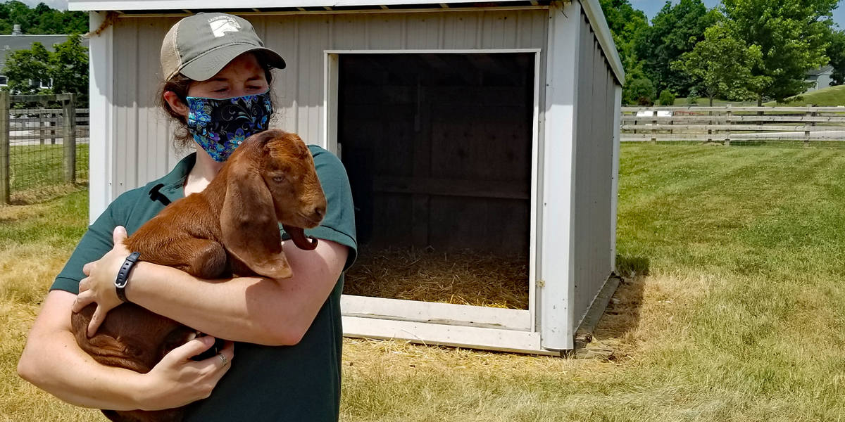 Lake Metroparks Halloween Hayrides