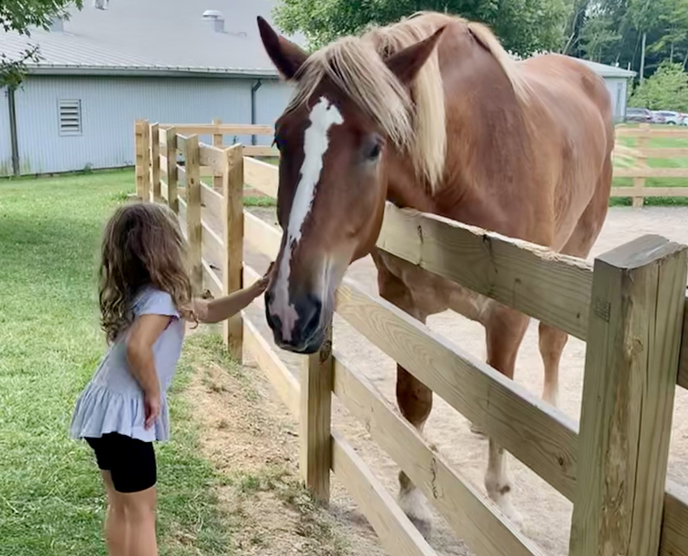 Farmpark - girl petting horse - photo by Jennifer Adkins