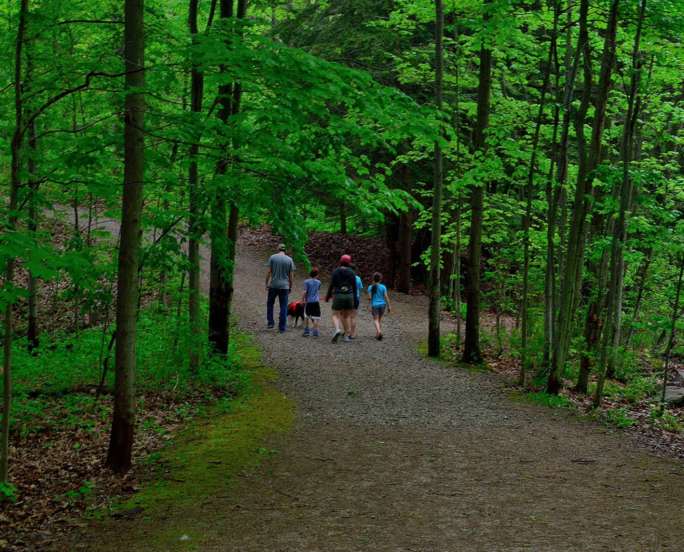 Penitentiary Glen Reservation Lake