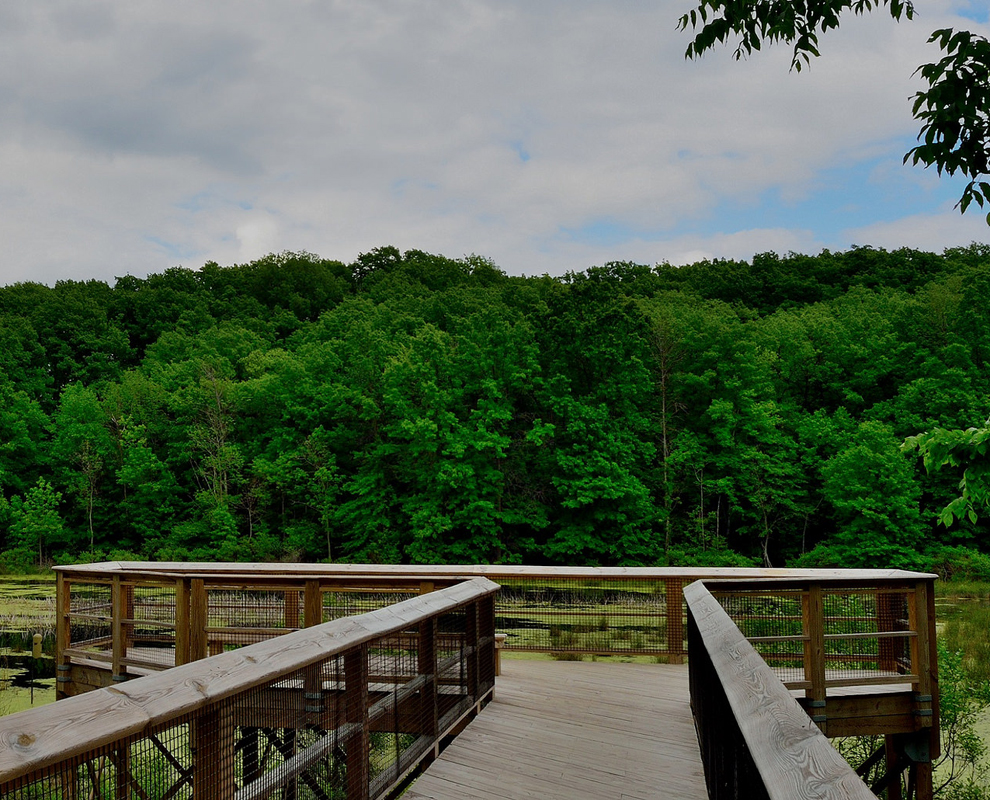 Pete's Pond Preserve Lake Metroparks