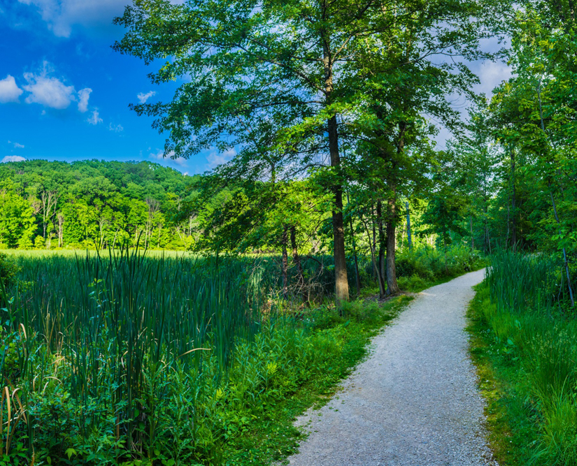 Pete's Pond Preserve on Rockefeller Road in Wickliffe, Ohio Lake