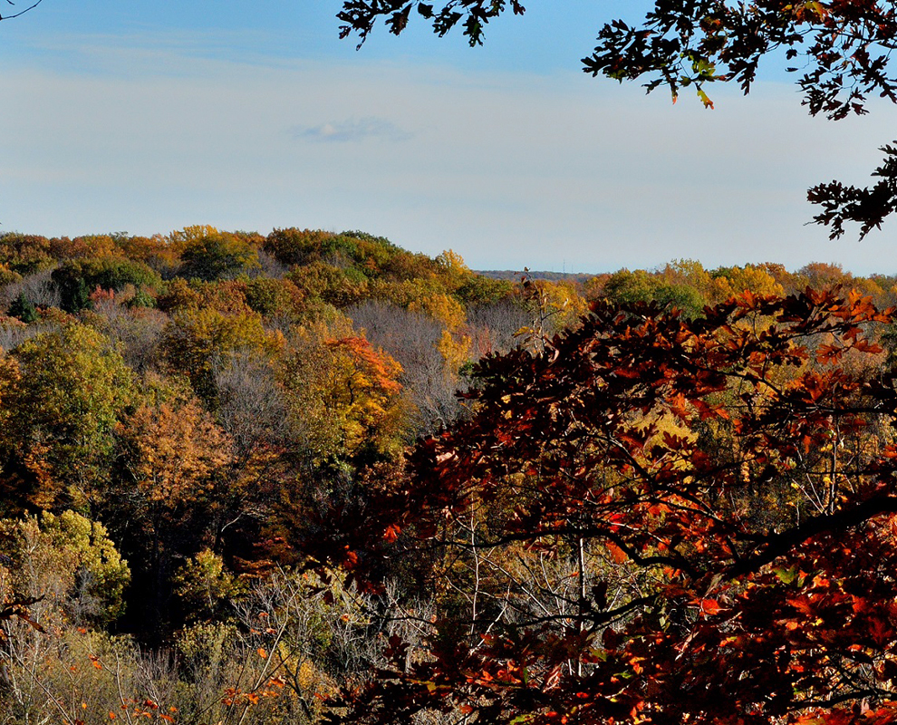 River Road Park Camp, Fish and Hike in Madison, Ohio. Lake Metroparks