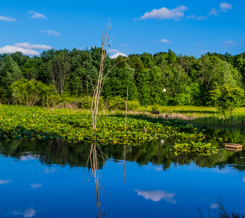 River Road Park Lake Metroparks