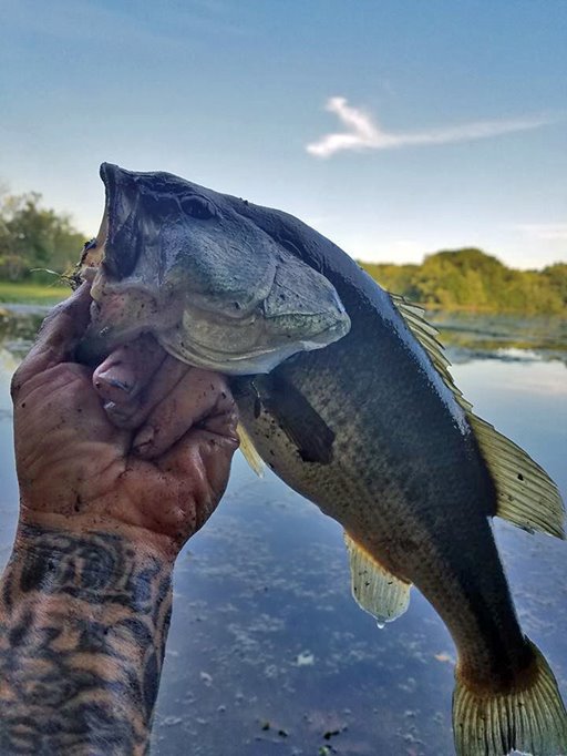 Fishing at Veterans Park by Duane Jacquemain