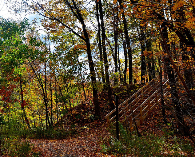Big Creek