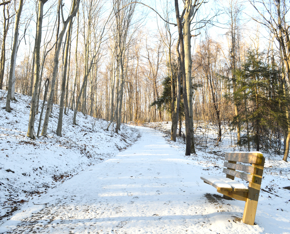 Girdled Road Reservation Lake Metroparks