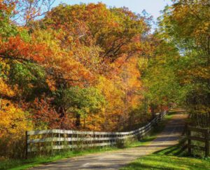 Greenway Corridor
