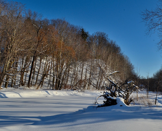 photo by Jim Marquardt