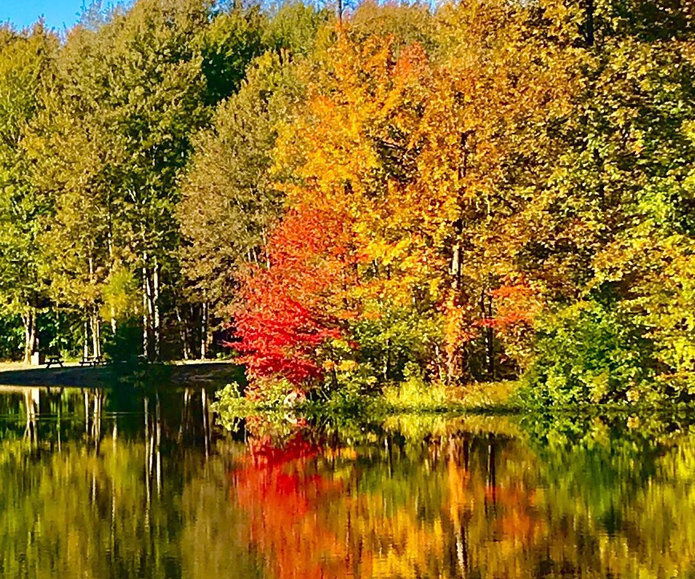 Hidden Lake | Lake Metroparks