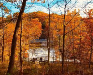 Paine Falls Park